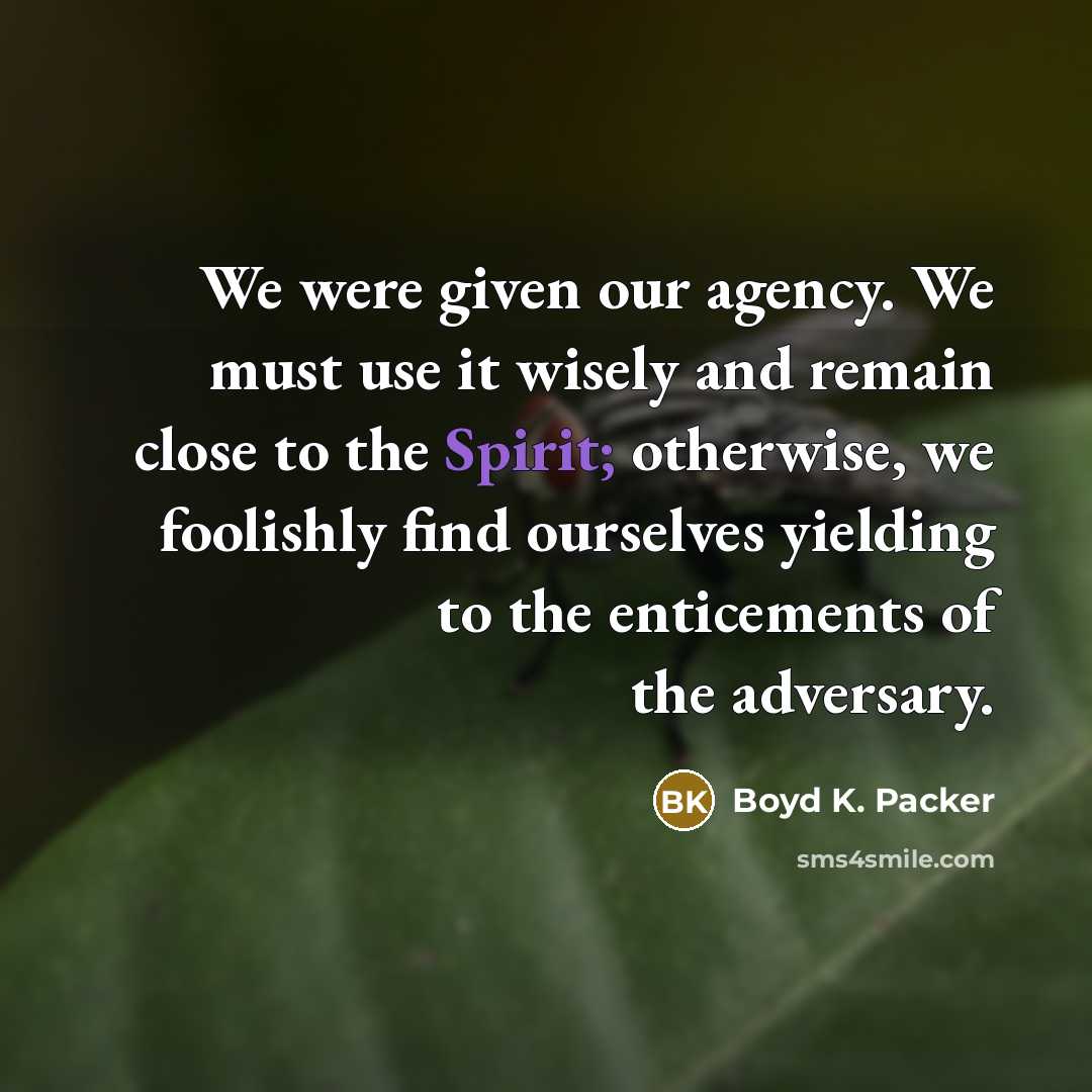 “We were given our agency. We must use it wisely…” quote by Boyd K. Packer