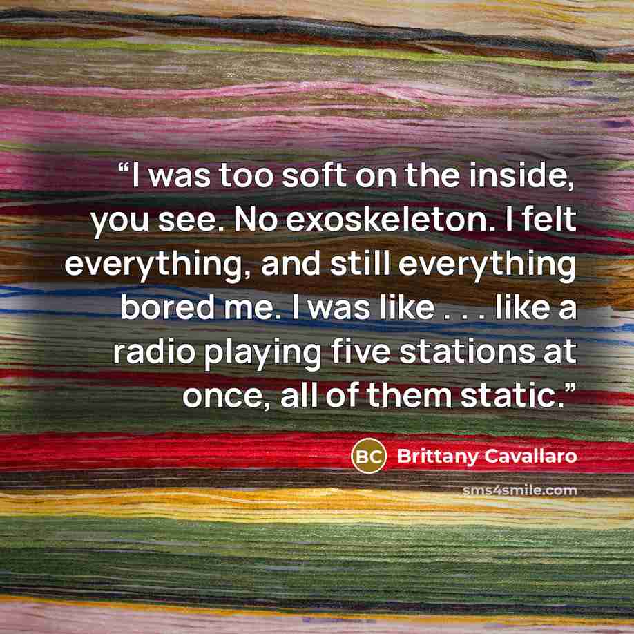 “I was too soft on the inside, you see. No exoskeleton. I felt everything, and still everything bored me. I was like . . . like a radio playing five stations at once, all of them static.” quote by Brittany Cavallaro