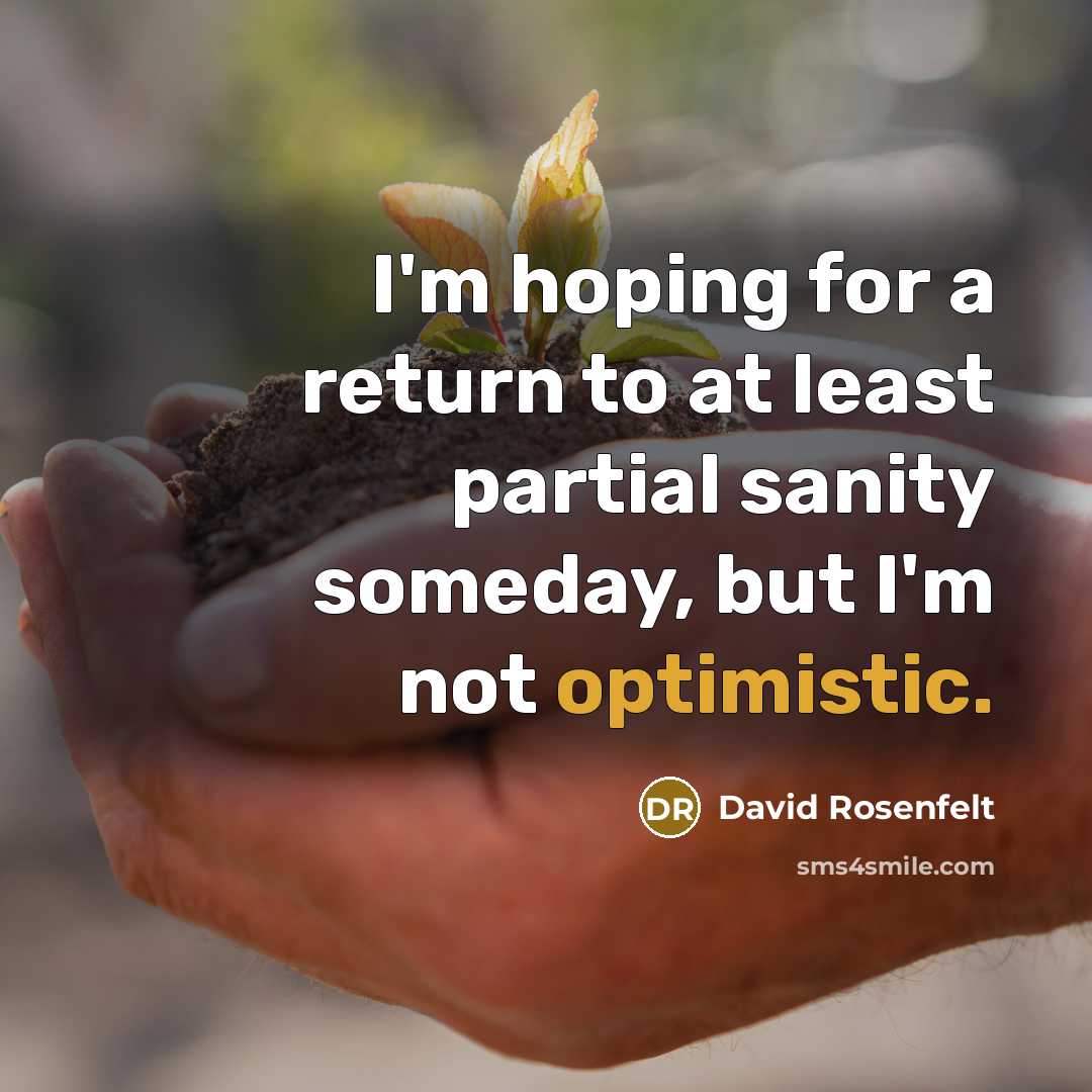 “I'm hoping for a return to at least partial sanity…” quote by David Rosenfelt