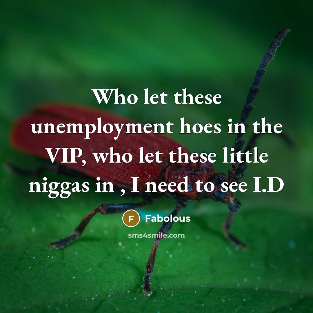 “Who let these unemployment hoes in the VIP, who let…” quote by Fabolous