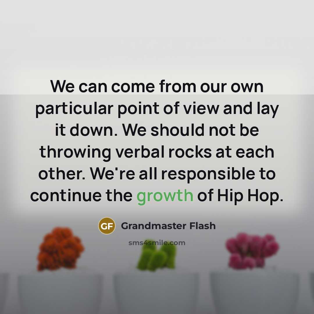 “We can come from our own particular point of view…” quote by Grandmaster Flash