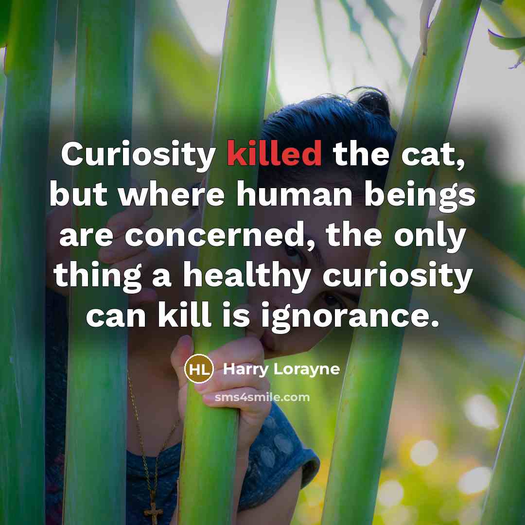 “Curiosity killed the cat, but where human beings are concerned,…” quote by Harry Lorayne
