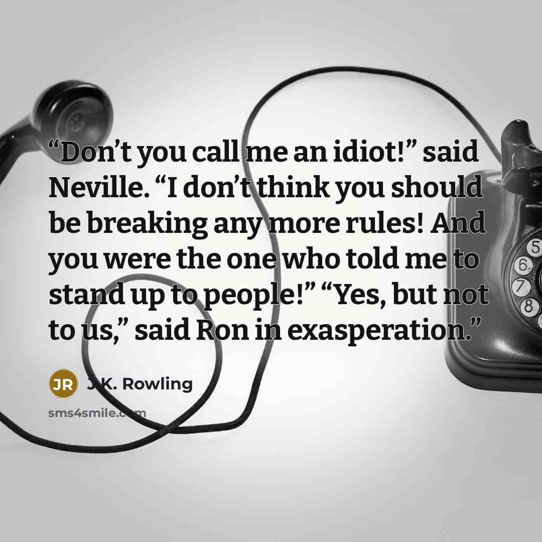 “Don’t you call me an idiot!” said Neville. “I don’t think you should be breaking any more rules! And you were the one who told me to stand up to people!” “Yes, but not to us,” said Ron in exasperation.” quote by J.K. Rowling