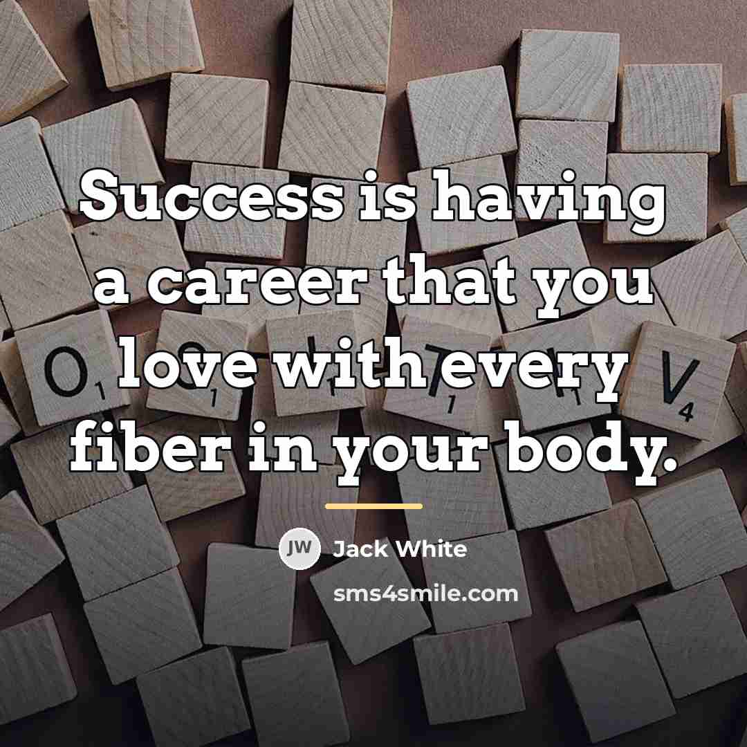 “Success is having a career that you love with every…” quote by Jack White