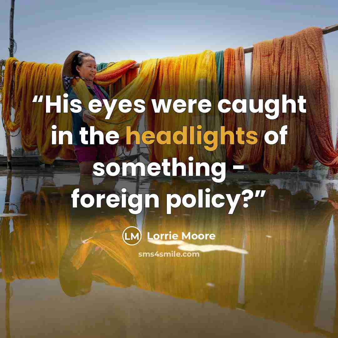 “His eyes were caught in the headlights of something - foreign policy?” quote by Lorrie Moore