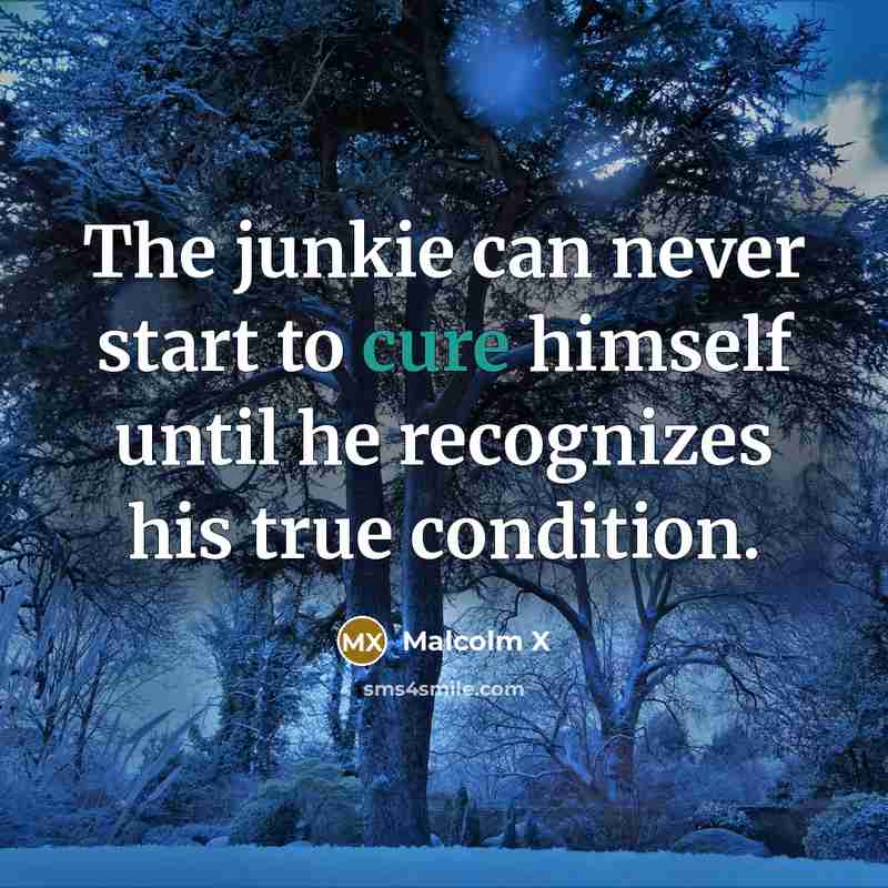 “The junkie can never start to cure himself until he…” quote by Malcolm X