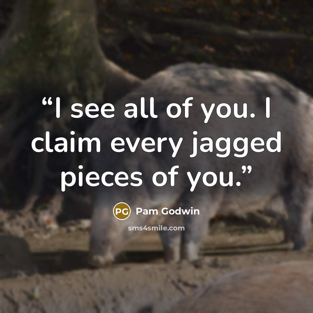 “I see all of you. I claim every jagged pieces of you.” quote by Pam Godwin
