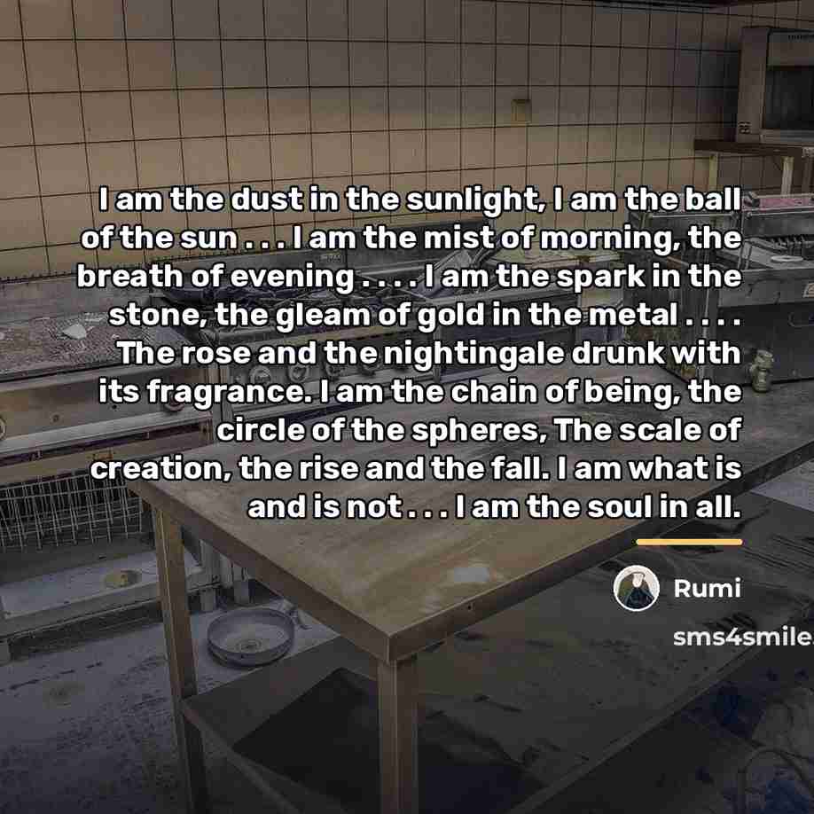 “I am the dust in the sunlight, I am the…” quote by Rumi
