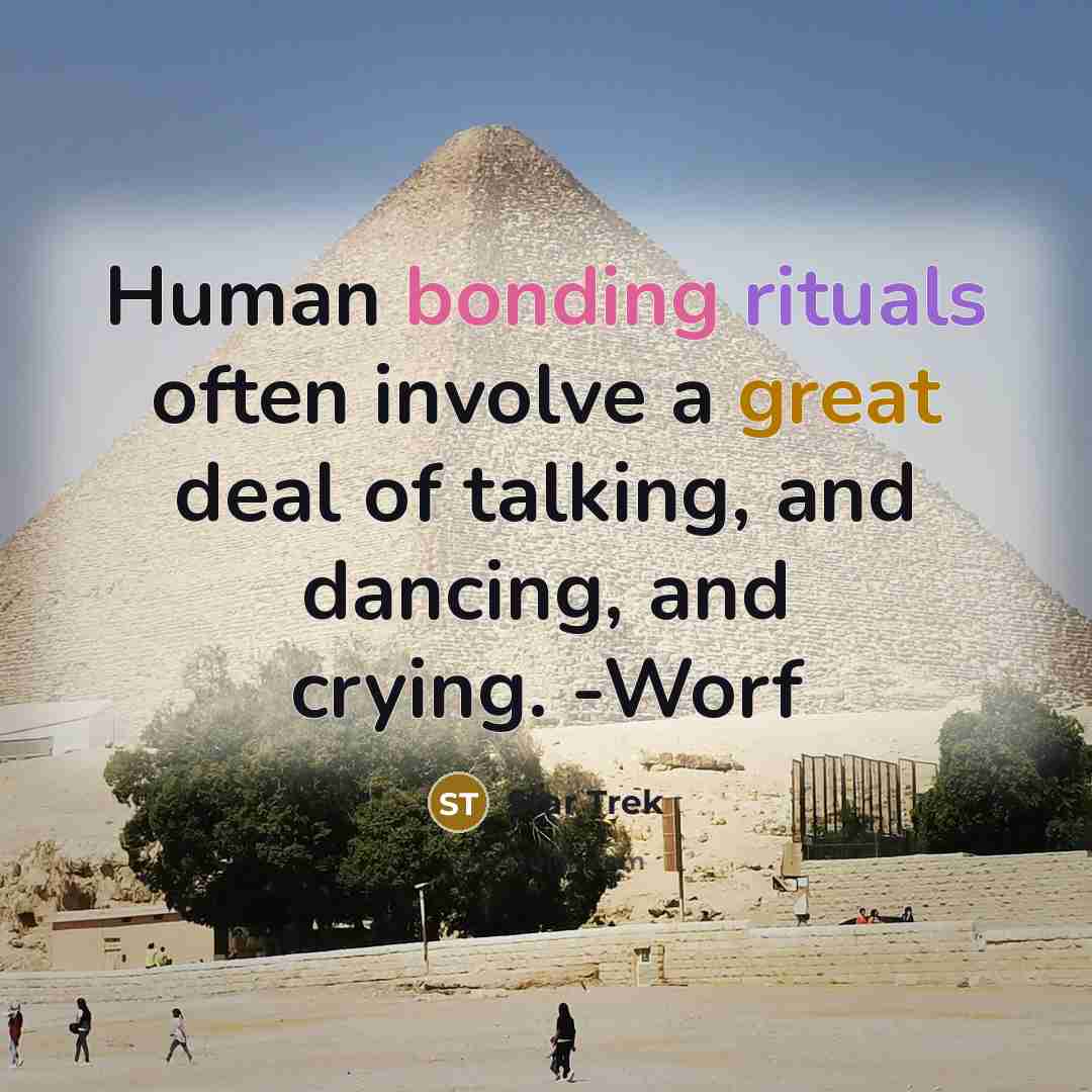 “Human bonding rituals often involve a great deal of talking, and dancing, and crying. -Worf” quote by Star Trek