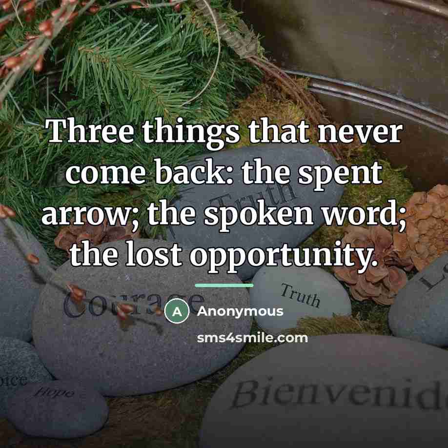 “Three things that never come back: the spent arrow; the…” quote by Anonymous