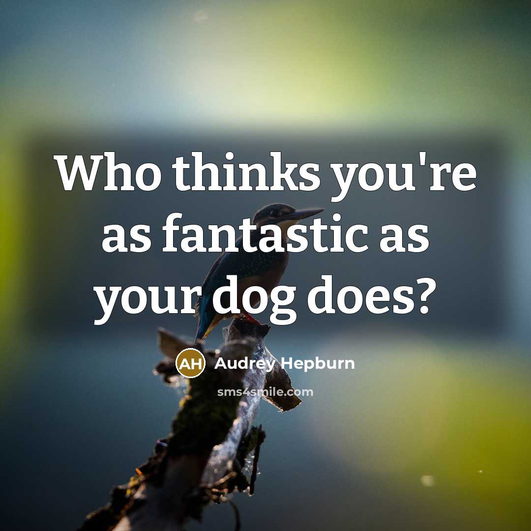 “Who thinks you're as fantastic as your dog does?…” quote by Audrey Hepburn