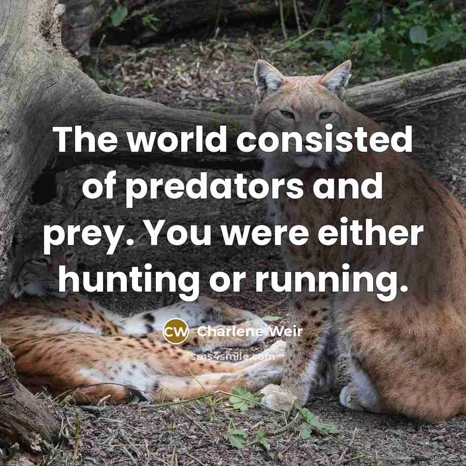 “The world consisted of predators and prey. You were either…” quote by Charlene Weir