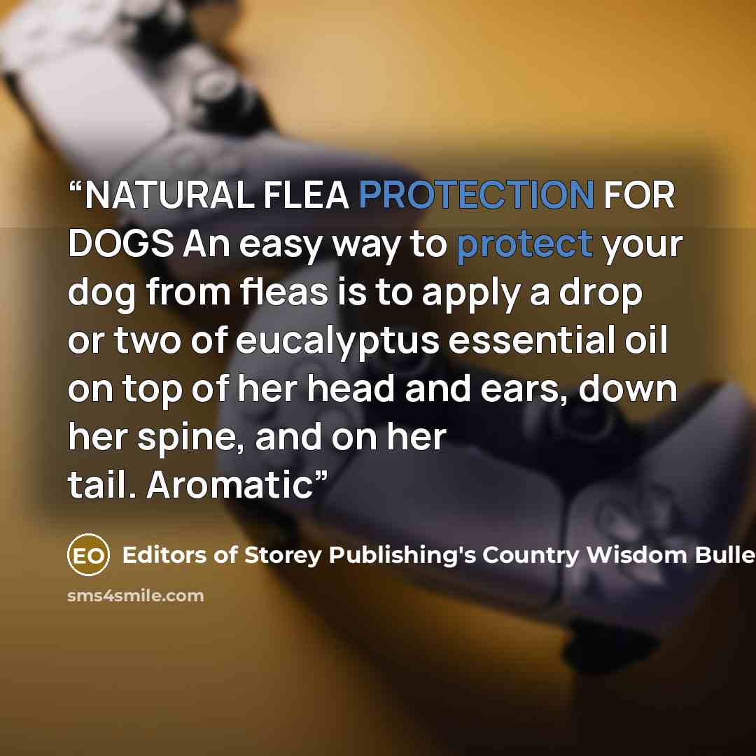 “NATURAL FLEA PROTECTION FOR DOGS An easy way to protect your dog from fleas is to apply a drop or two of eucalyptus essential oil on top of her head and ears, down her spine, and on her tail. Aromatic” quote by Editors of Storey Publishing's Country Wisdom Bulletins