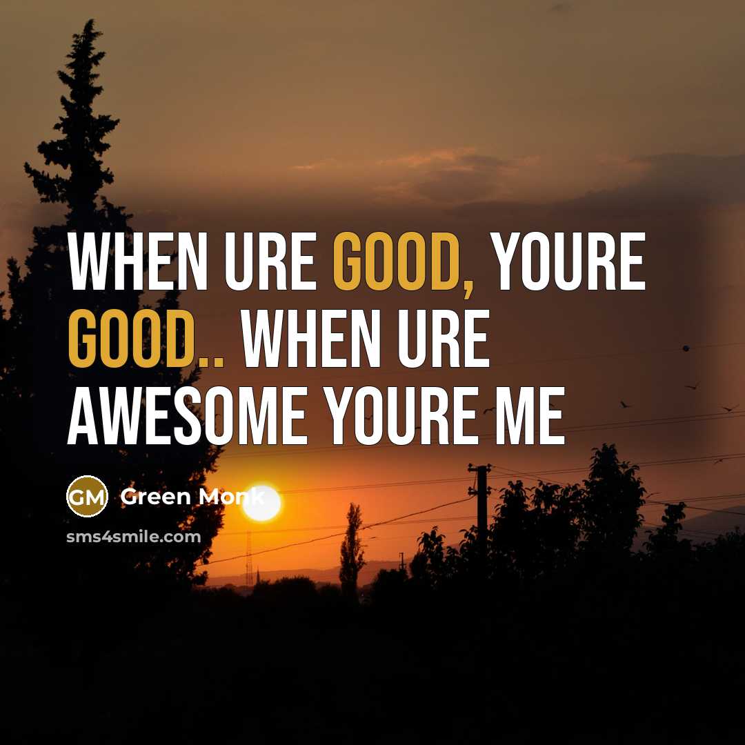 “When ure good, youre good.. when ure awesome youre me…” quote by Green Monk