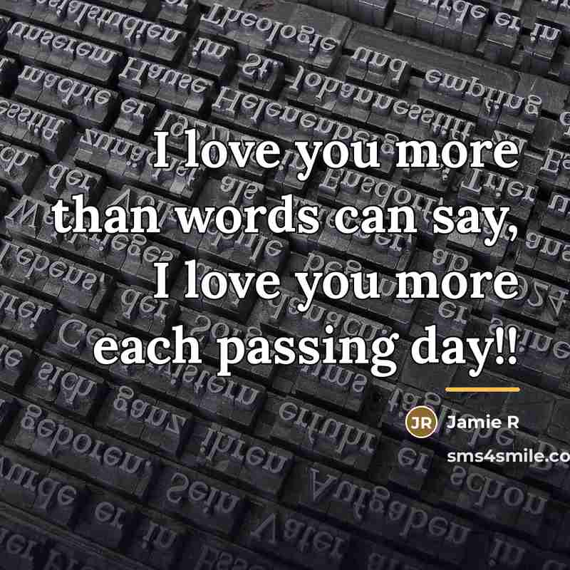 “I love you more than words can say, I love…” quote by Anonymous