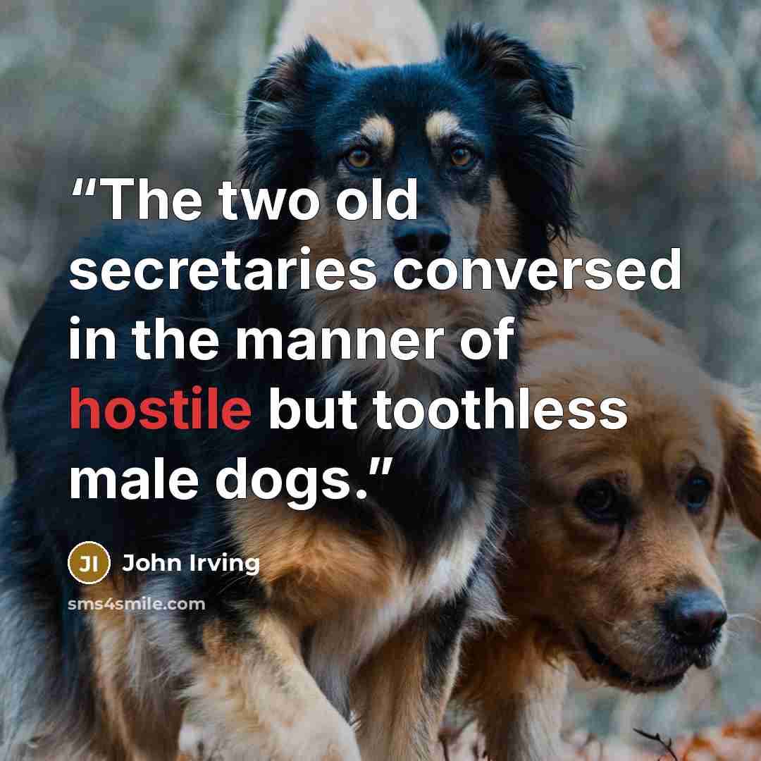 “The two old secretaries conversed in the manner of hostile but toothless male dogs.” quote by John Irving