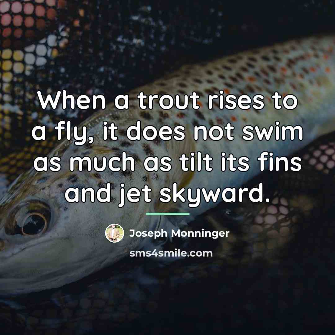 “When a trout rises to a fly, it does not…” quote by Joseph Monninger
