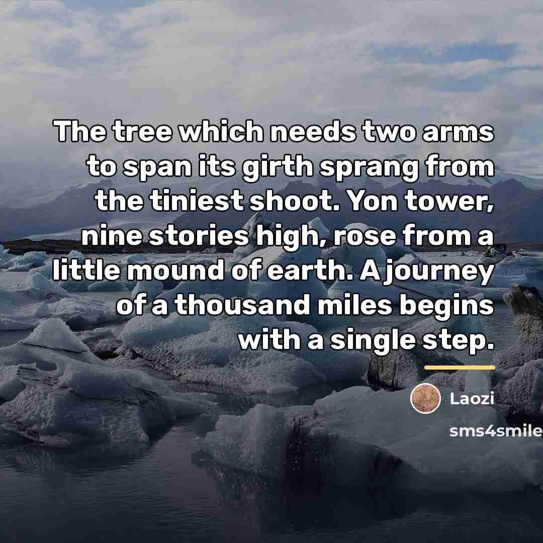 “The tree which needs two arms to span its girth…” quote by Laozi