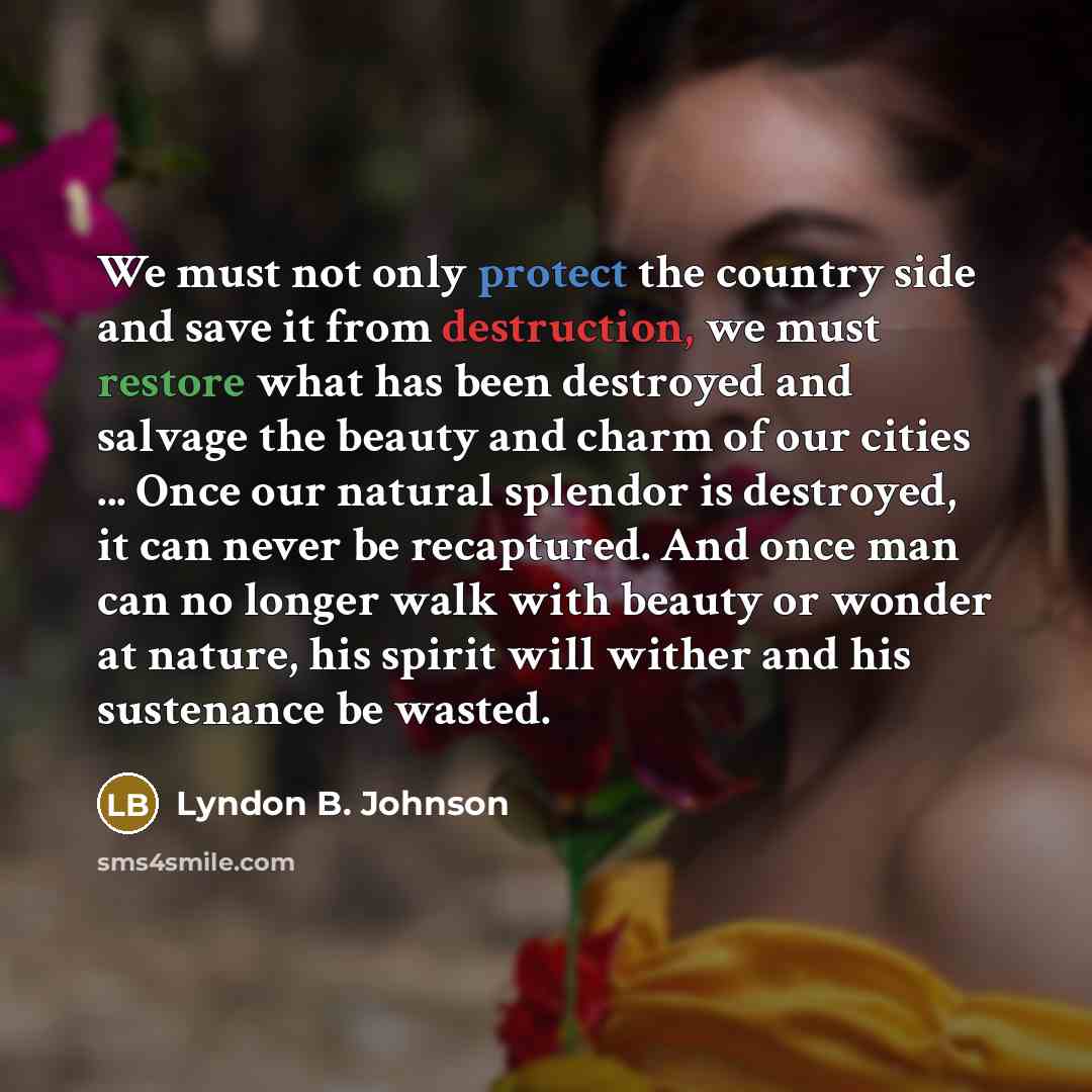 “We must not only protect the country side and save…” quote by Lyndon B. Johnson