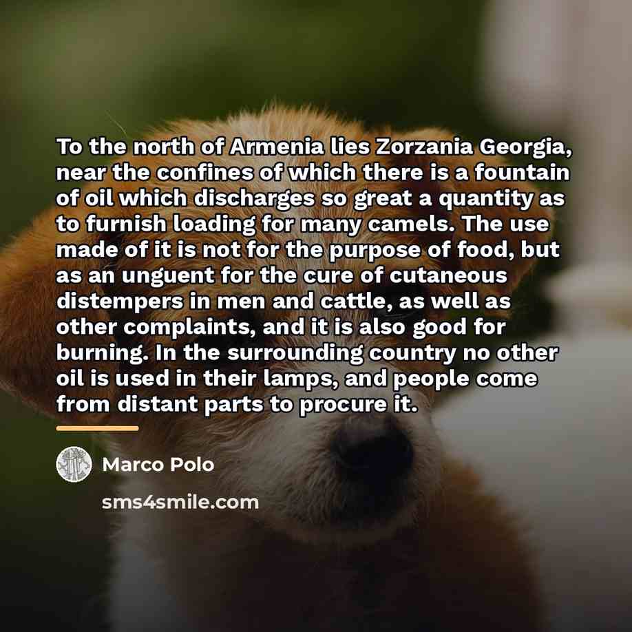 “To the north of Armenia lies Zorzania Georgia, near the…” quote by Marco Polo