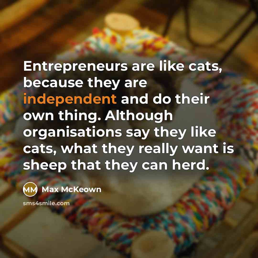 “Entrepreneurs are like cats, because they are independent and do…” quote by Max McKeown