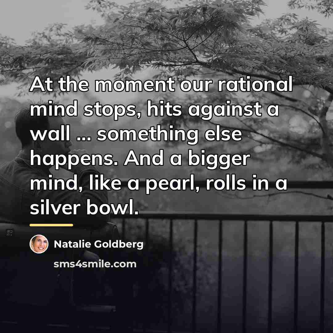 “At the moment our rational mind stops, hits against a…” quote by Natalie Goldberg