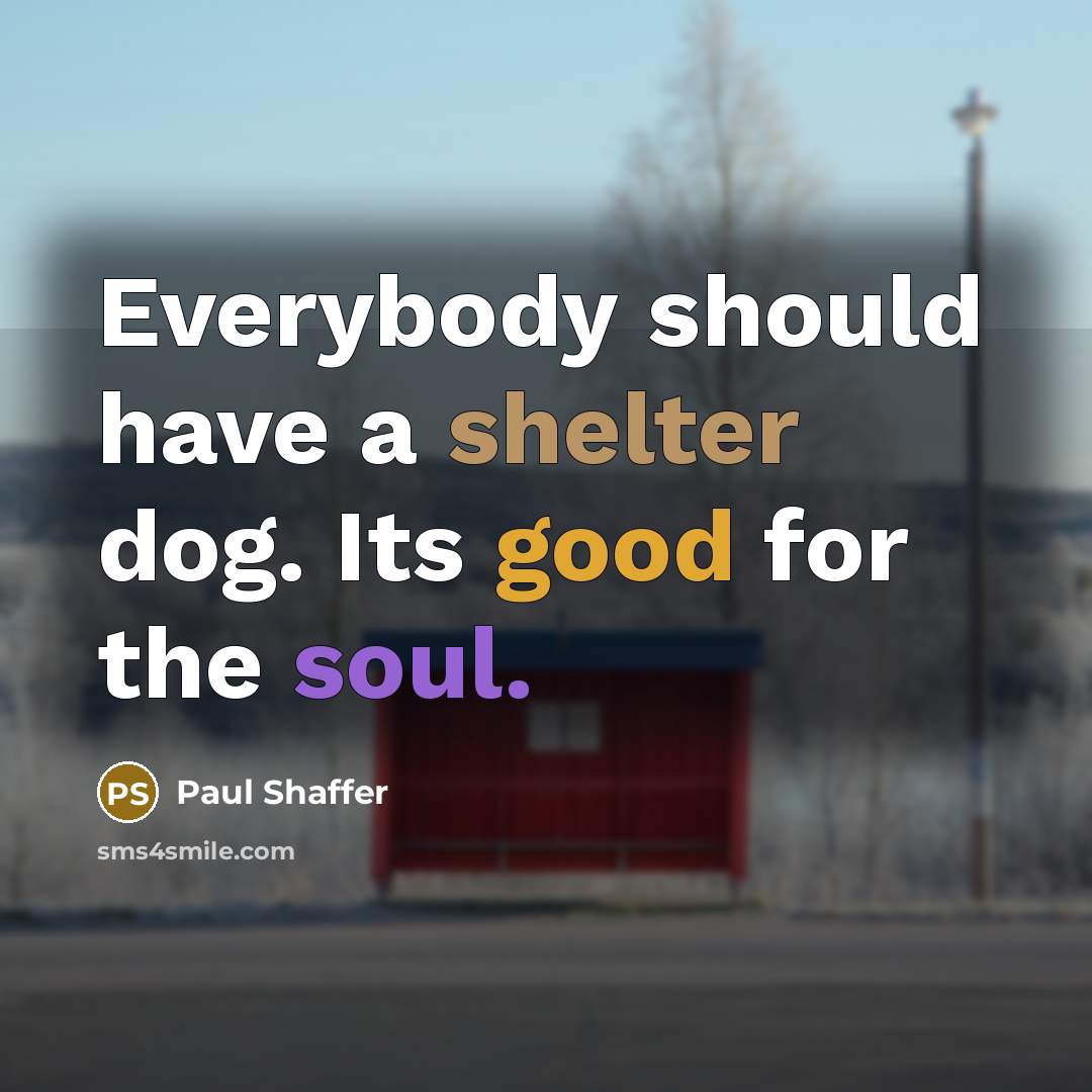 “Everybody should have a shelter dog. Its good for the…” quote by Paul Shaffer