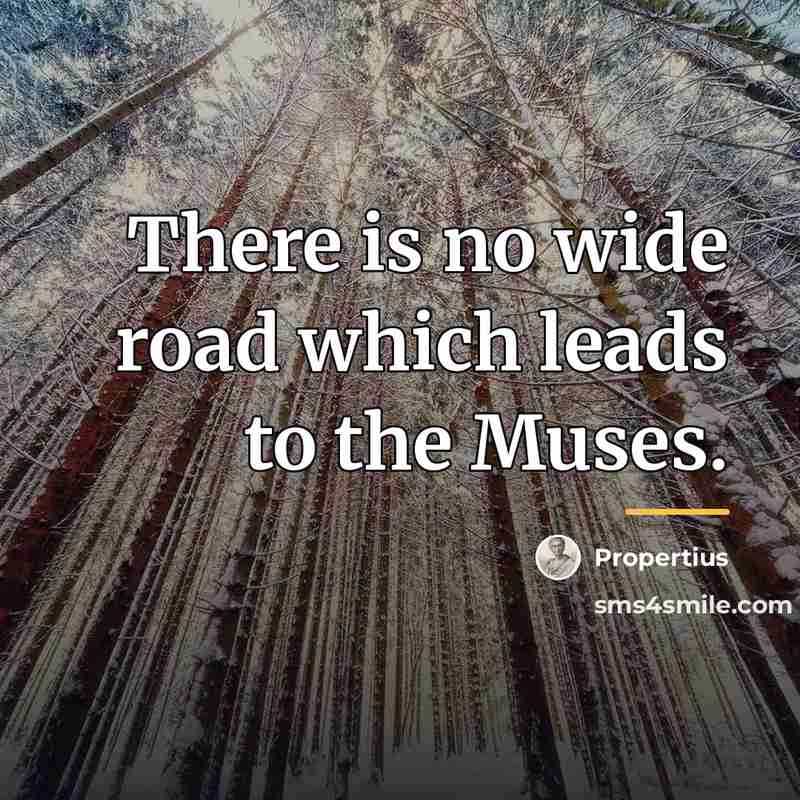 “There is no wide road which leads to the Muses.…” quote by Propertius