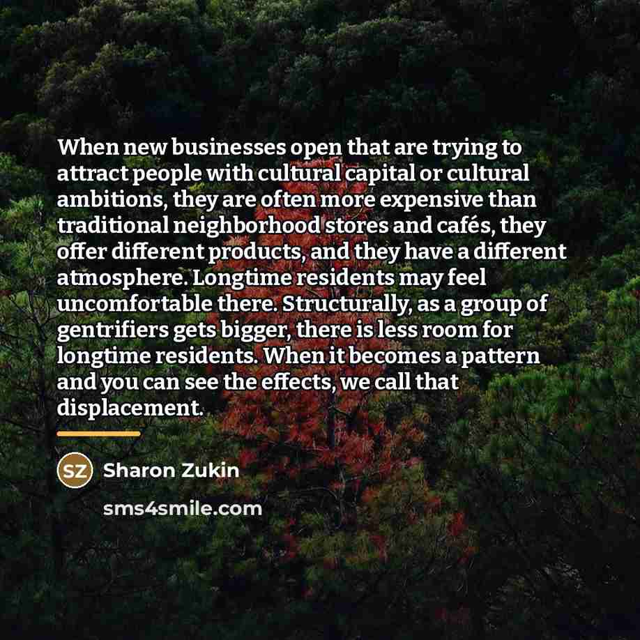 “When new businesses open that are trying to attract people…” quote by Sharon Zukin