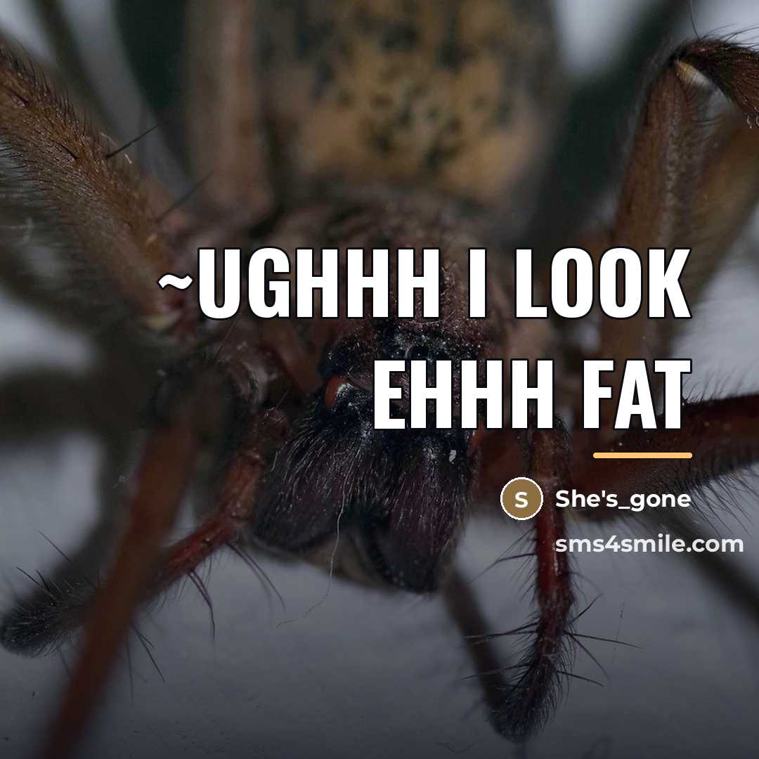 “~ughhh I look ehhh fat…” quote by She's_gone