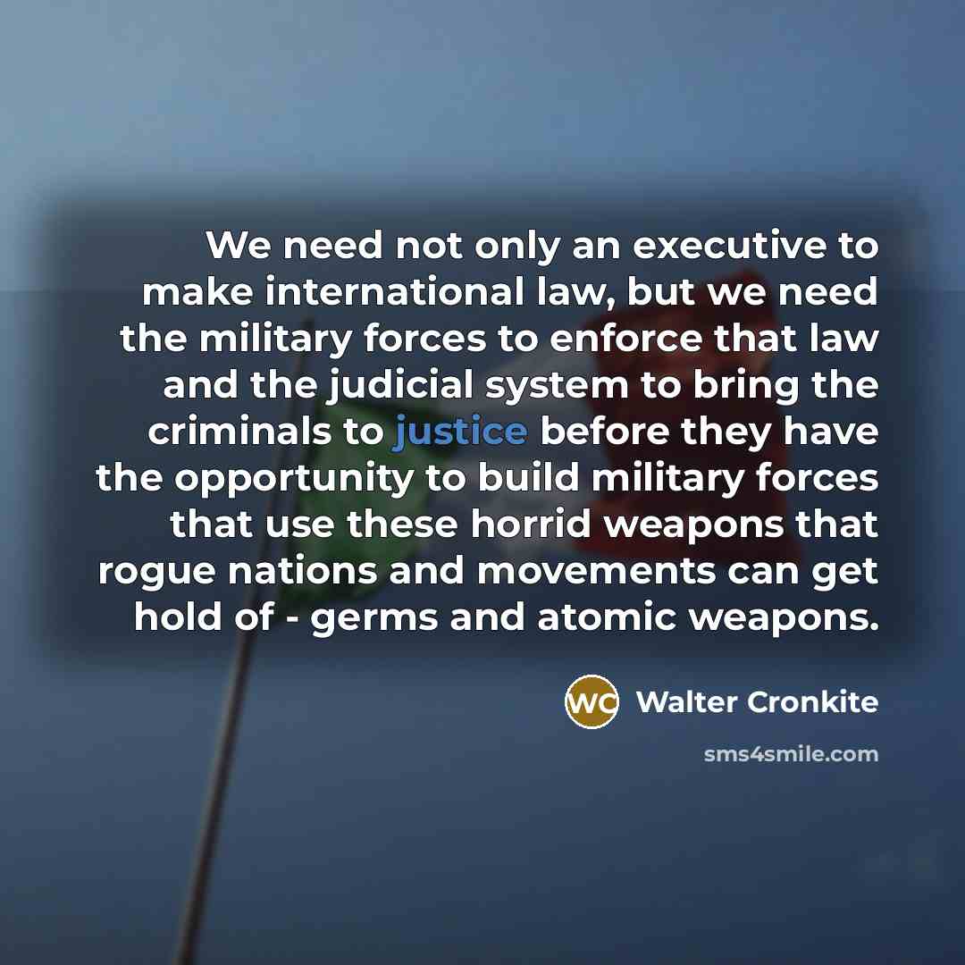 “We need not only an executive to make international law,…” quote by Walter Cronkite