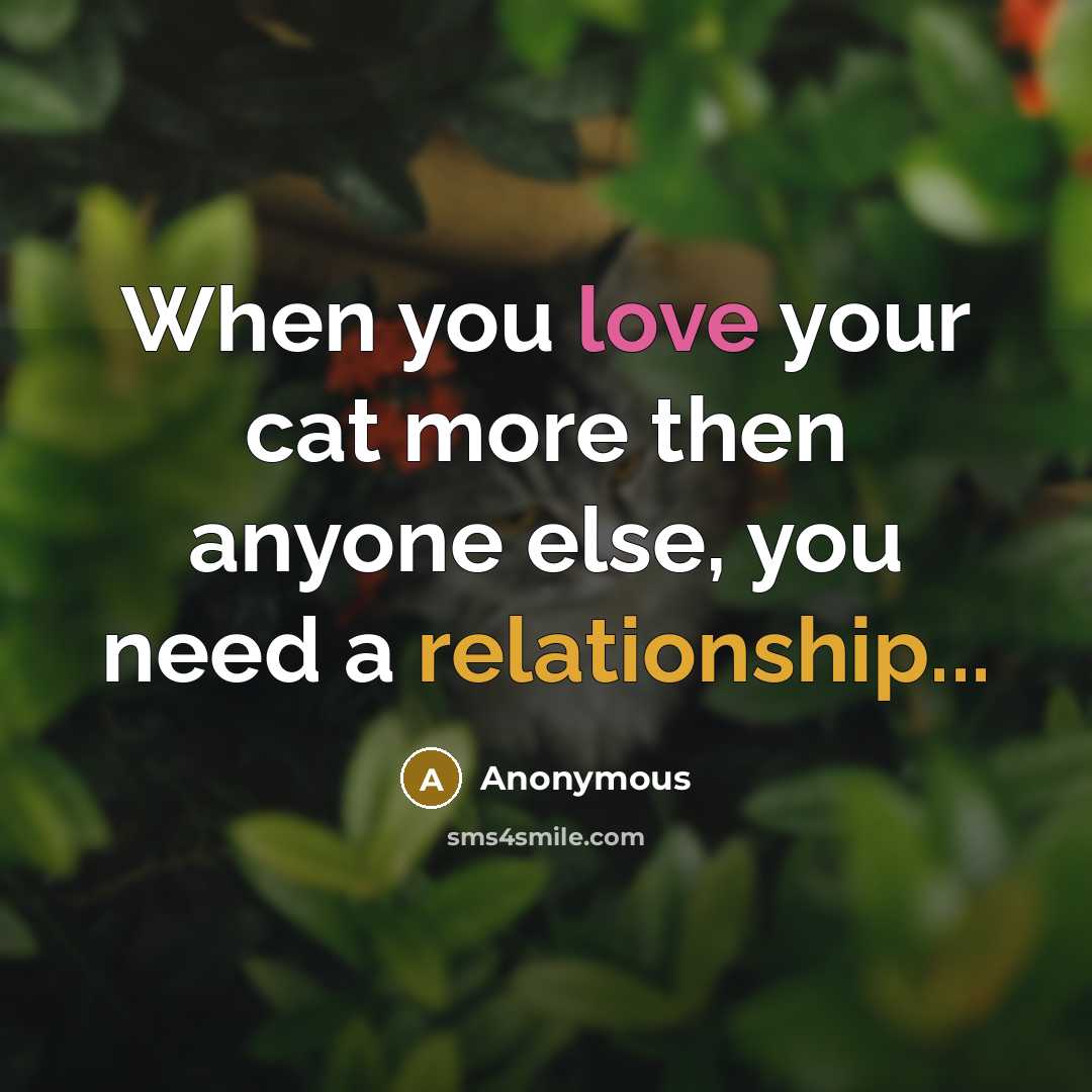 “When you love your cat more then anyone else, you need a relationship...” quote by Anonymous