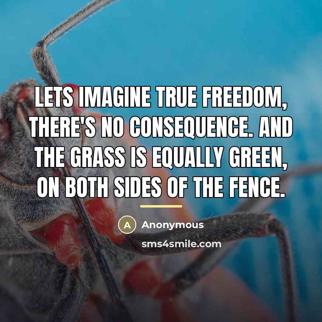 “Lets imagine true freedom, there's no consequence. And the grass…” quote by Anonymous