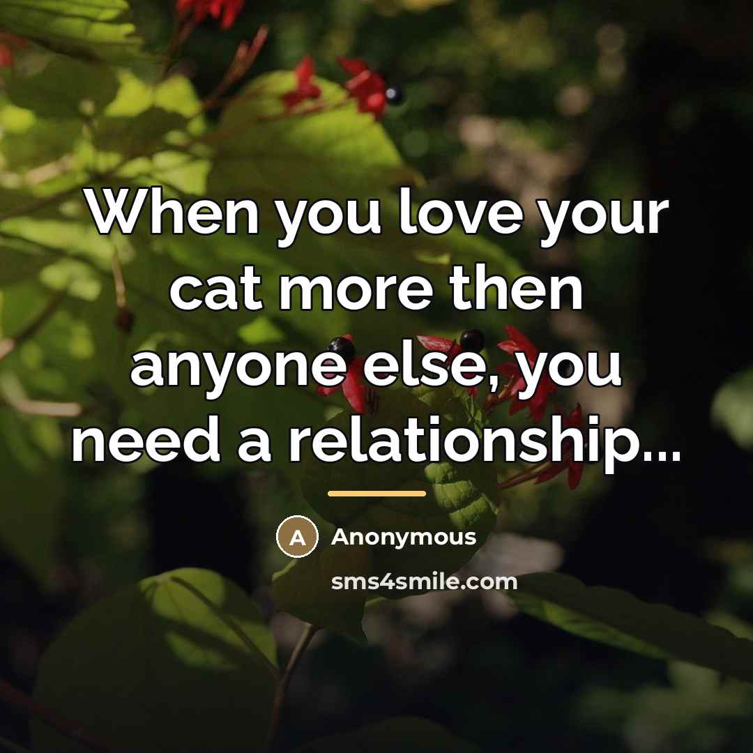 “When you love your cat more then anyone else, you…” quote by Anonymous