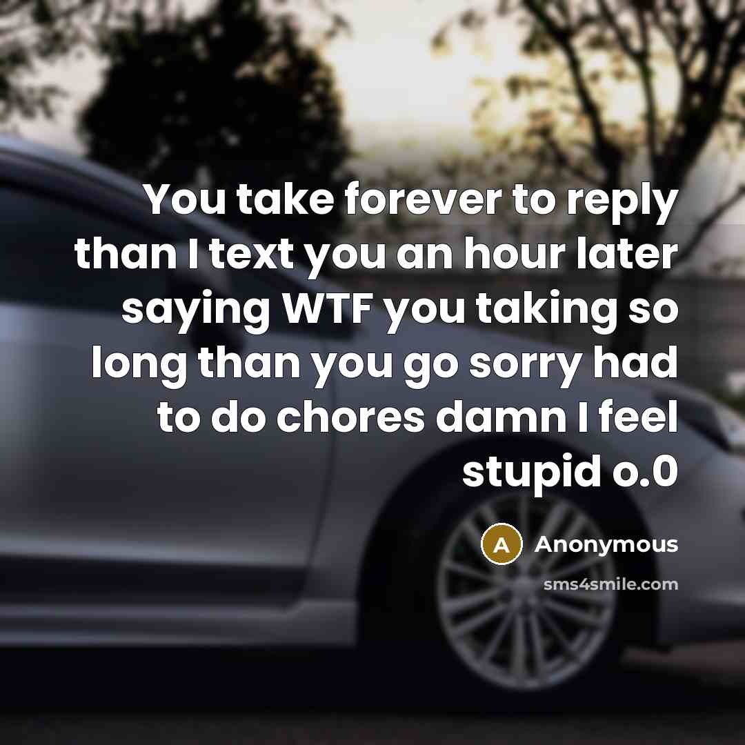 “You take forever to reply than I text you an hour later saying WTF you taking so long than you go sorry had to do chores damn I feel stupid o.0” quote by Anonymous