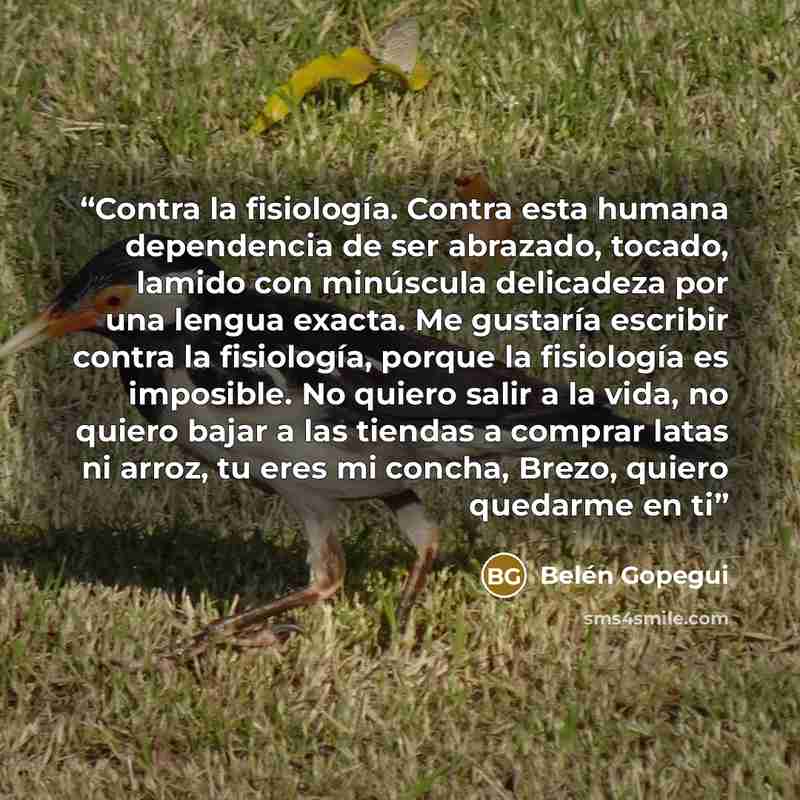 “Contra la fisiología. Contra esta humana dependencia de ser abrazado, tocado, lamido con minúscula delicadeza por una lengua exacta. Me gustaría escribir contra la fisiología, porque la fisiología es imposible. No quiero salir a la vida, no quiero bajar a las tiendas a comprar latas ni arroz, tu…” quote by Belén Gopegui