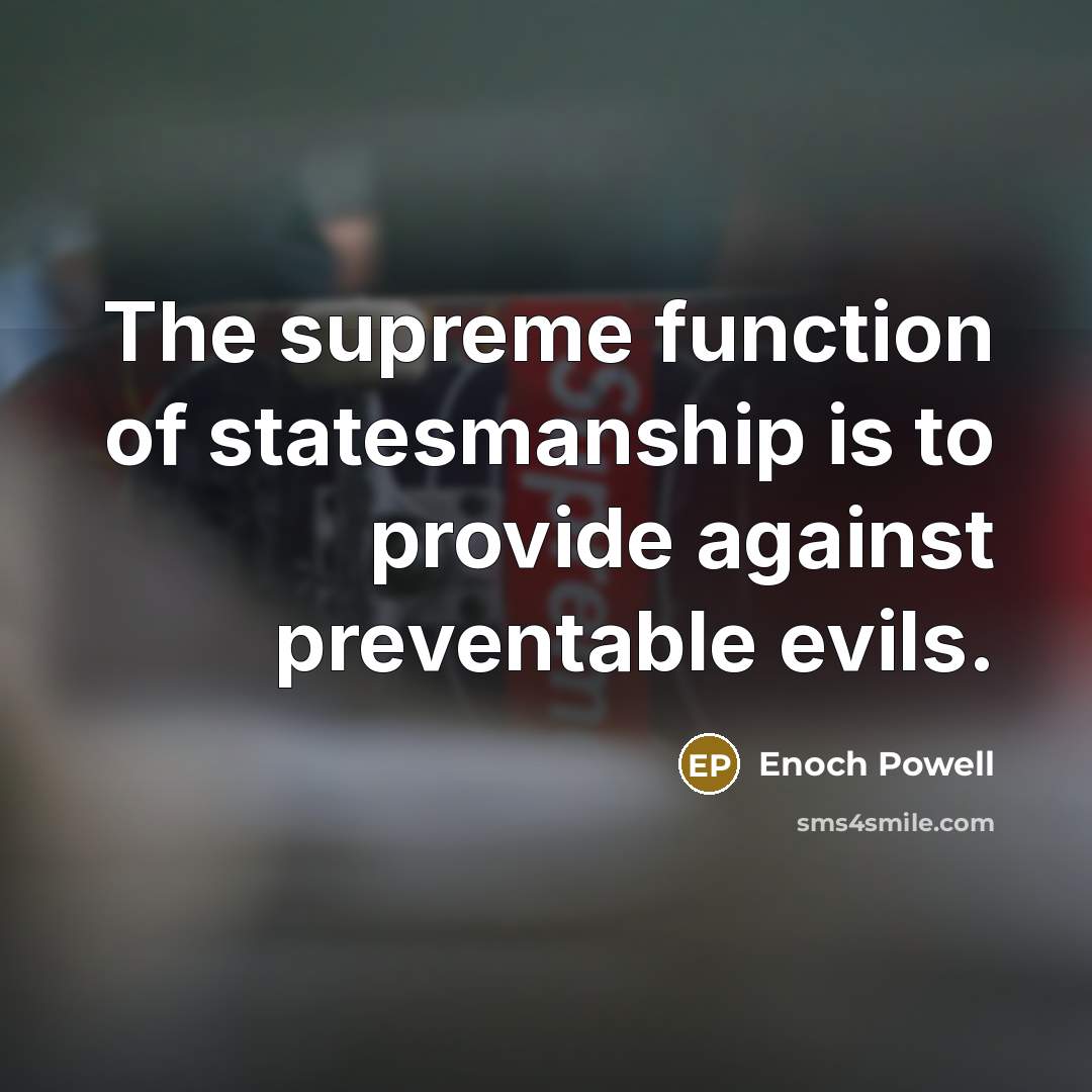 “The supreme function of statesmanship is to provide against preventable…” quote by Enoch Powell