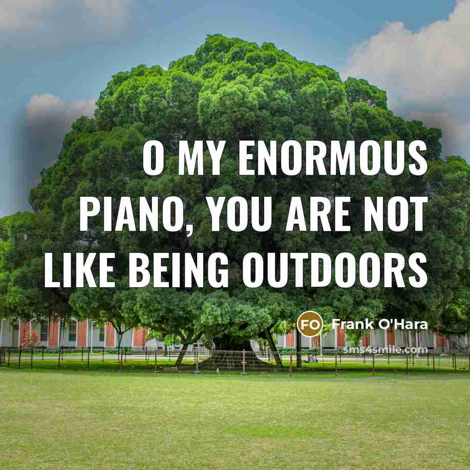 “O my enormous piano, you are not like being outdoors…” quote by Frank O'Hara