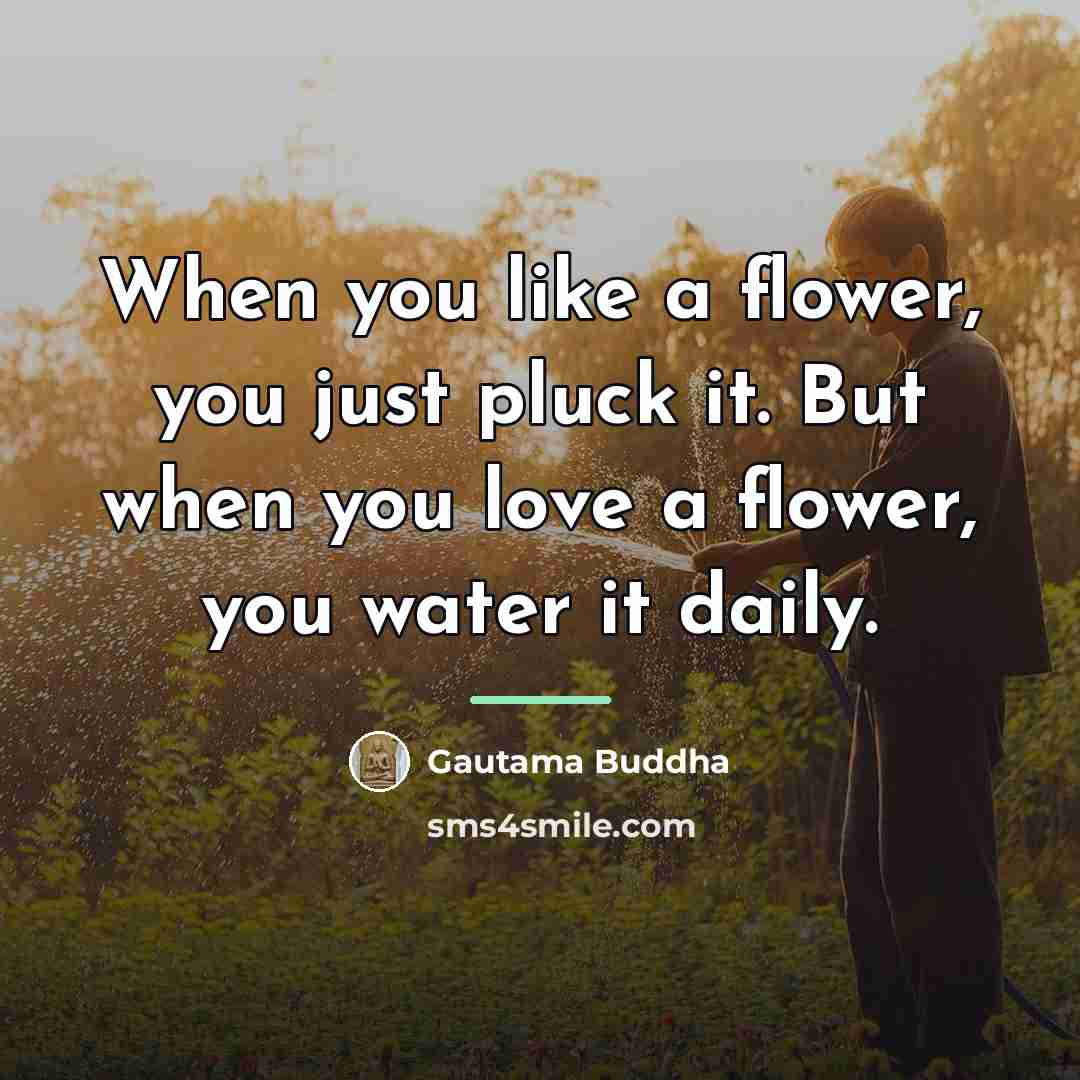 “When you like a flower, you just pluck it. But…” quote by Gautama Buddha