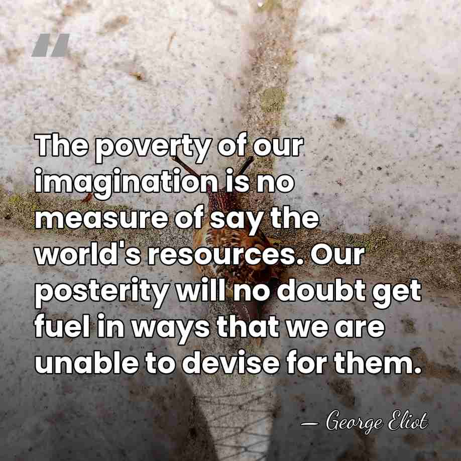 The poverty of our imagination is no measure of say the world's&hellip; - George Eliot