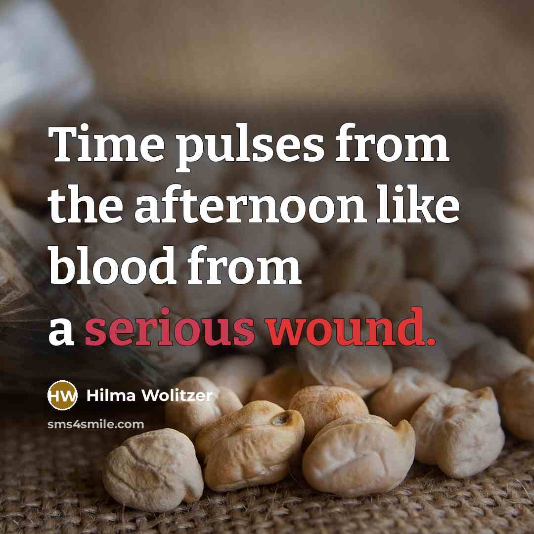 “Time pulses from the afternoon like blood from a serious…” quote by Hilma Wolitzer