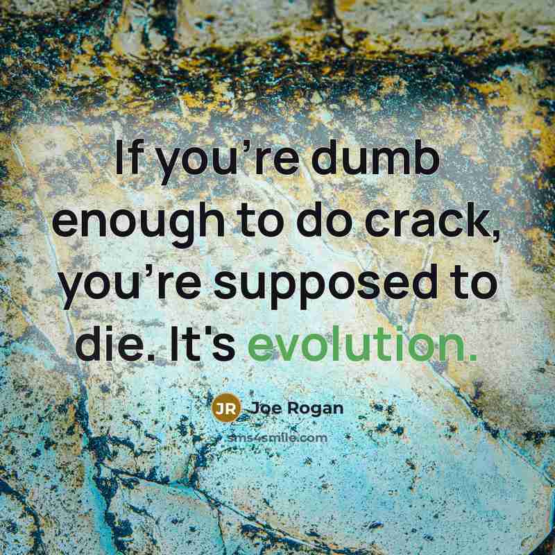 “If you're dumb enough to do crack, you're supposed to die. It's evolution.” quote by Joe Rogan