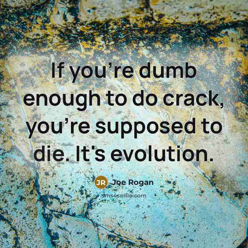 “If you're dumb enough to do crack, you're supposed to…” quote by Joe Rogan