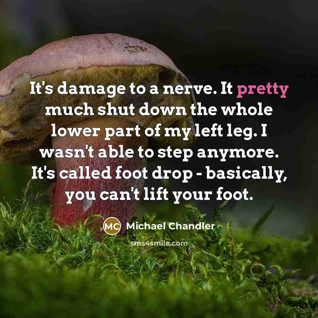 “It's damage to a nerve. It pretty much shut down…” quote by Michael Chandler