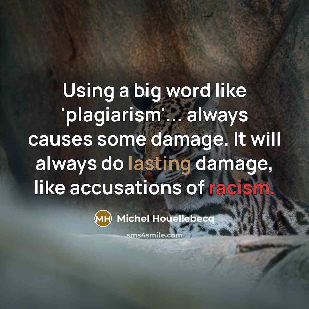 “Using a big word like 'plagiarism'... always causes some damage.…” quote by Michel Houellebecq