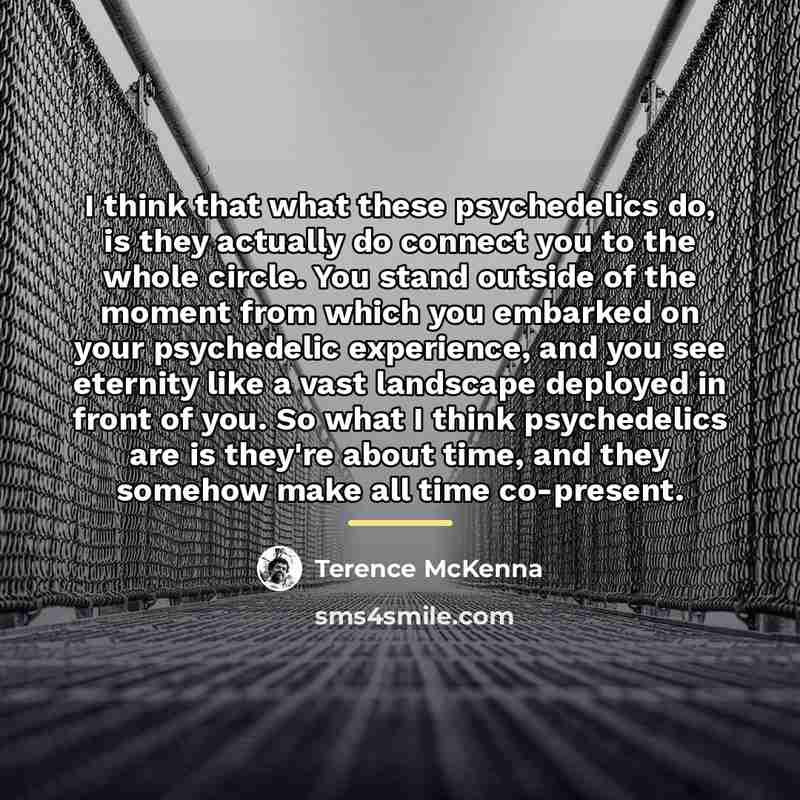 “I think that what these psychedelics do, is they actually…” quote by Terence McKenna