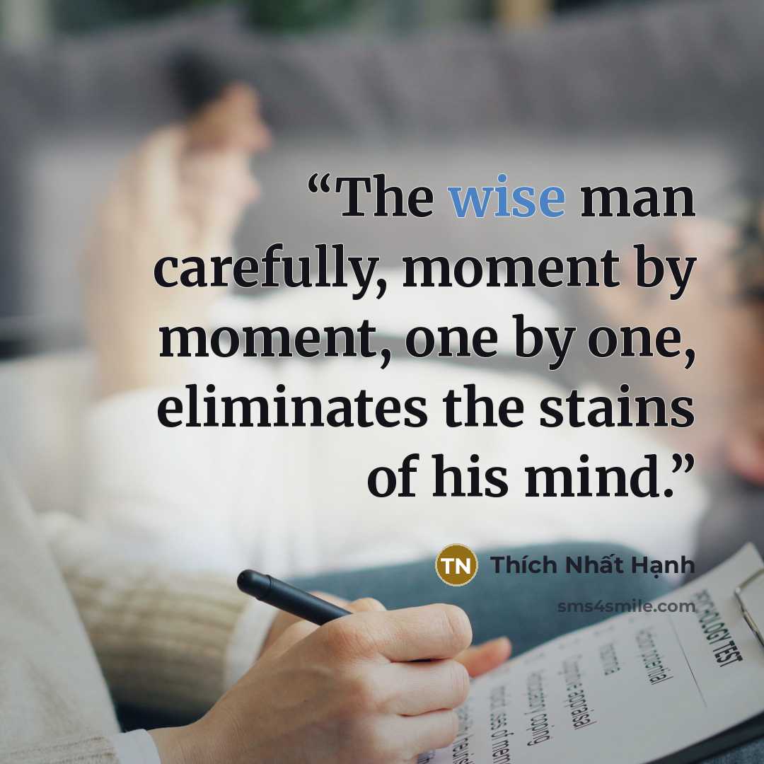 “The wise man carefully, moment by moment, one by one, eliminates the stains of his mind.” quote by Thích Nhất Hạnh