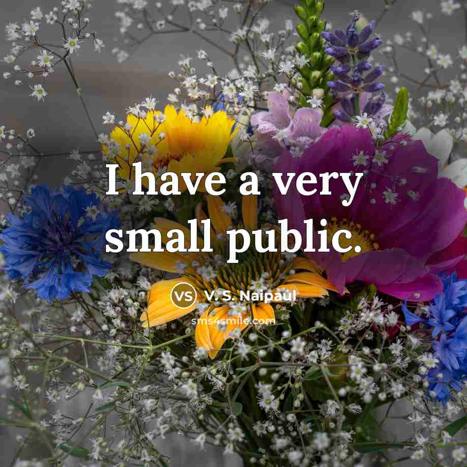 “I have a very small public.…” quote by V. S. Naipaul