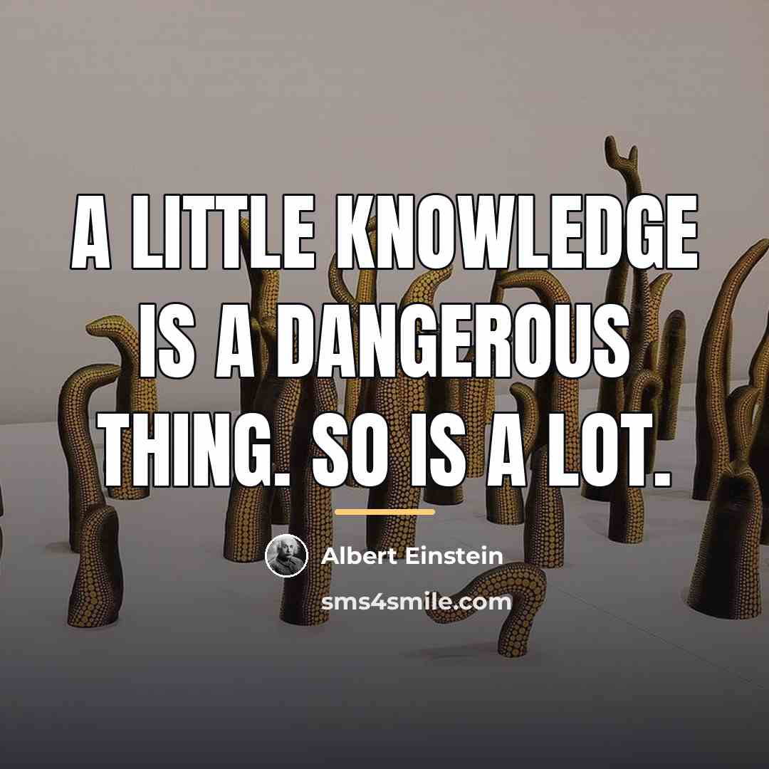 “A little knowledge is a dangerous thing. So is a…” quote by Albert Einstein