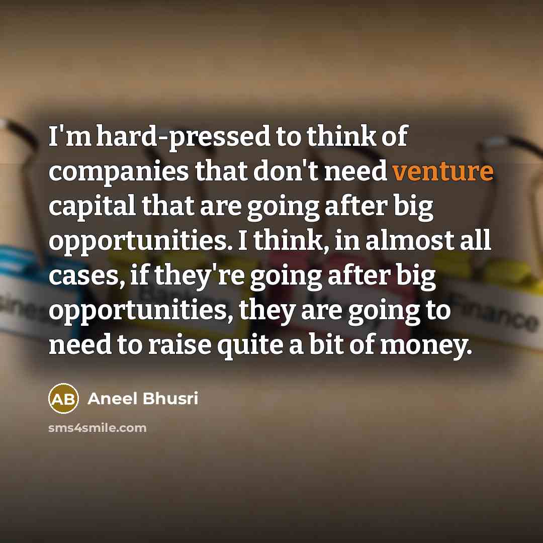 “I'm hard-pressed to think of companies that don't need venture…” quote by Aneel Bhusri